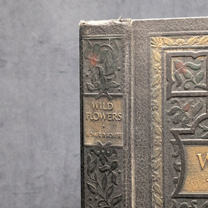 Wild Flowers by Homer D. House (Third Printing, Illustrated), 1936 🌸📜🖼️