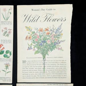 Wild Flowers by Homer D. House (Third Printing, Illustrated), 1936 🌸📜🖼️