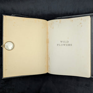 Wild Flowers by Homer D. House (Third Printing, Illustrated), 1936 🌸📜🖼️