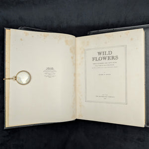 Wild Flowers by Homer D. House (Third Printing, Illustrated), 1936 🌸📜🖼️