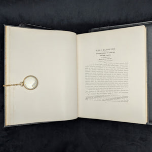 Wild Flowers by Homer D. House (Third Printing, Illustrated), 1936 🌸📜🖼️