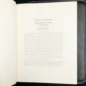 Wild Flowers by Homer D. House (Third Printing, Illustrated), 1936 🌸📜🖼️