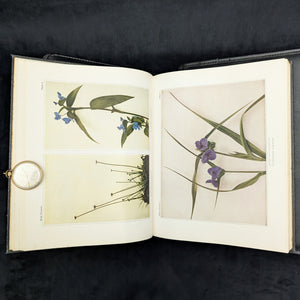 Wild Flowers by Homer D. House (Third Printing, Illustrated), 1936 🌸📜🖼️