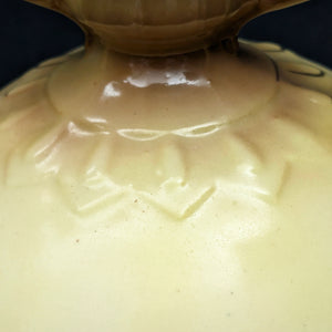 Antique Austrian Porcelain Vase – Hand-Painted Iris, Art Nouveau Sculptural Handles (Austria), c. 1910 🇦🇹🏺🎨