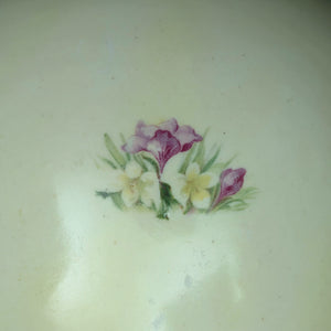 Antique Austrian Porcelain Vase – Hand-Painted Iris, Art Nouveau Sculptural Handles (Austria), c. 1910 🇦🇹🏺🎨