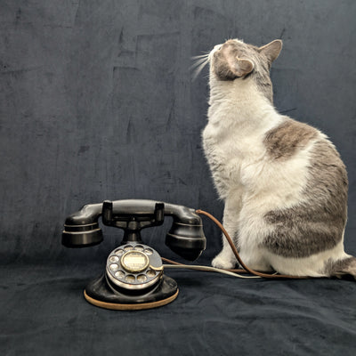 Original B1 Desk Phone by Western Electric (RARE, Working Condition), 1926 ☎️📞🇺🇸