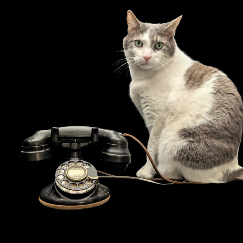 Original B1 Desk Phone by Western Electric (RARE, Working Condition), 1926 ☎️📞🇺🇸