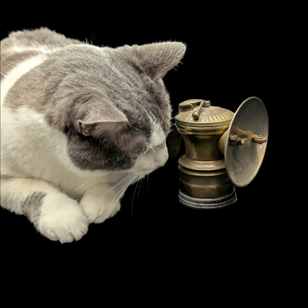 Vintage Brass Carbide Lamp by Auto-Lite (Industrial Artifact, RARE), 1931 ⛏️🔦🇺🇸