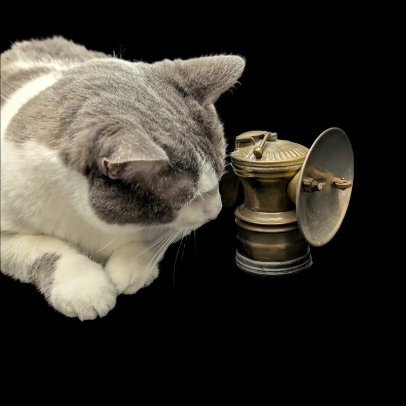 Vintage Brass Carbide Lamp by Auto-Lite (Industrial Artifact, RARE), 1931 ⛏️🔦🇺🇸