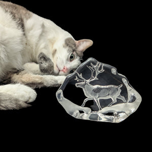 Crystal Reindeer Sculpture by Mats Jonasson – Hand-Etched Lead Crystal, Signed (Sweden), c. 1980 🦌💎🇸🇪