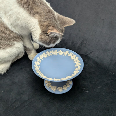 Wedgwood Blue Jasperware Pedestal Dish von Wedgwood (SELTEN, England), ca. Mitte des 20. Jahrhunderts 🇬🇧🏺✨