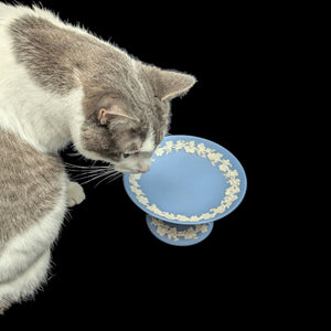 Wedgwood Blue Jasperware Pedestal Dish by Wedgwood (RARE, England), Circa Mid-20th Century 🇬🇧🏺✨