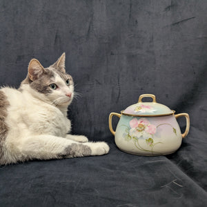 Vintage Hand-Painted Covered Serving Dish by PM Bavaria (Floral, Porcelain), Circa 1900 🌸🍽️🇩🇪