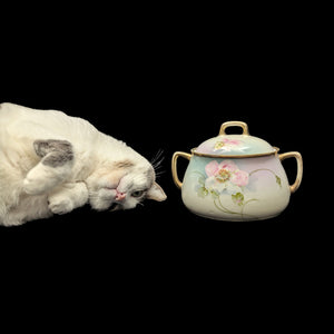 Vintage Hand-Painted Covered Serving Dish by PM Bavaria (Floral, Porcelain), Circa 1900 🌸🍽️🇩🇪