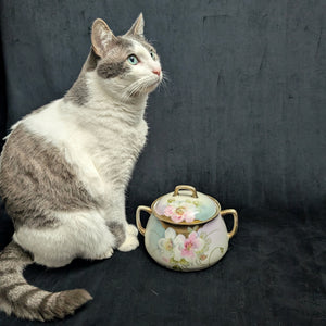 Vintage Hand-Painted Covered Serving Dish by PM Bavaria (Floral, Porcelain), Circa 1900 🌸🍽️🇩🇪