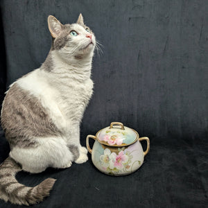 Vintage Hand-Painted Covered Serving Dish by PM Bavaria (Floral, Porcelain), Circa 1900 🌸🍽️🇩🇪