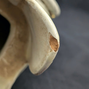 Vintage Italian Hand-Painted Swan Wall Fountain/Planter – Two-Piece Floral Ceramic Set (ITALY), c. 1960 🦢🇮🇹🌸