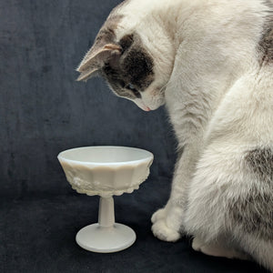 Vintage Milk Glass Pedestal Compote – Paneled Grape Pattern, American Pressed Glass (c. 1960) 🍇🥛🏡
