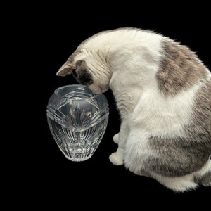 Marquis by Waterford Crystal Vase – Hand-Cut, Heavy Lead Crystal (Germany), c. 2000 💎✨🇩🇪