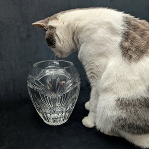 Marquis by Waterford Crystal Vase – Hand-Cut, Heavy Lead Crystal (Germany), c. 2000 💎✨🇩🇪