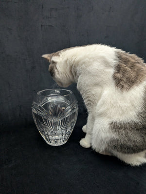 Marquis by Waterford Crystal Vase – Hand-Cut, Heavy Lead Crystal (Germany), c. 2000 💎✨🇩🇪