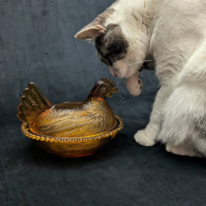 Vintage Amber Glass Hen on Nest Dish – Beaded Rim, Farmhouse Collectible (c. 1960) 🐔🥚🏡