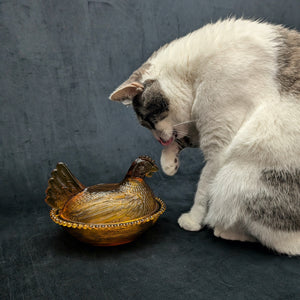Vintage Amber Glass Hen on Nest Dish – Beaded Rim, Farmhouse Collectible (c. 1960) 🐔🥚🏡