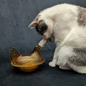Vintage Amber Glass Hen on Nest Dish – Beaded Rim, Farmhouse Collectible (c. 1960) 🐔🥚🏡