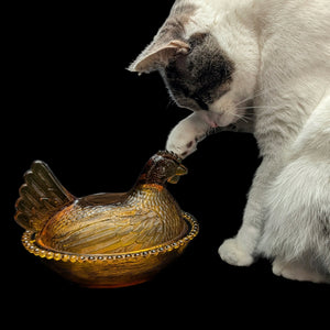 Vintage Amber Glass Hen on Nest Dish – Beaded Rim, Farmhouse Collectible (c. 1960) 🐔🥚🏡