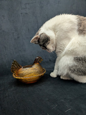 Vintage Amber Glass Hen on Nest Dish – Beaded Rim, Farmhouse Collectible (c. 1960) 🐔🥚🏡