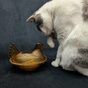 Vintage Amber Glass Hen on Nest Dish – Beaded Rim, Farmhouse Collectible (c. 1960) 🐔🥚🏡