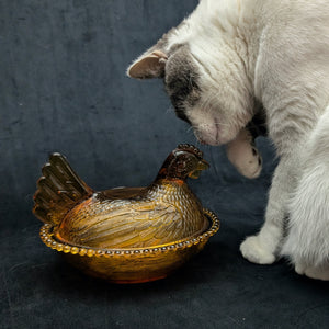 Vintage Amber Glass Hen on Nest Dish – Beaded Rim, Farmhouse Collectible (c. 1960) 🐔🥚🏡