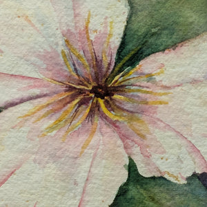 "Trillium", fechado en 2007, por Beverly Green