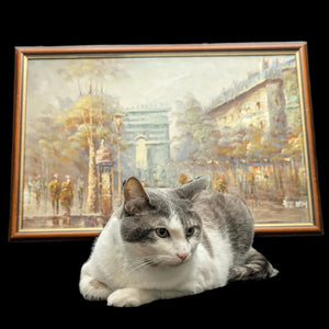 Escena callejera de París con el Arco del Triunfo de Vermen 🇫🇷