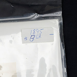 American Magazine Advertisement Page (Falcon Bicycles, Ladies' Leggings, & Bicycle Theft Insurance), 1895 🚴‍♀️⚙️🇺🇸