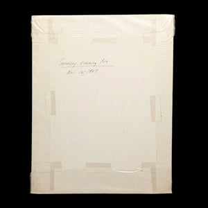 Johnson’s Polishing Wax Advertisement (Electric Floor Polisher Rental), The Saturday Evening Post, November 12, 1927 🇺🇸✨🏡