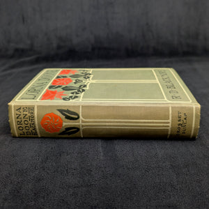 Lorna Doone, by R.D. Blackmore, (RARE, Decorative Binding, Illustrated), c. 1909 📜🥀🇬🇧