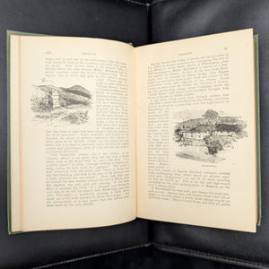 Lorna Doone, by R.D. Blackmore, (RARE, Decorative Binding, Illustrated), c. 1909 📜🥀🇬🇧
