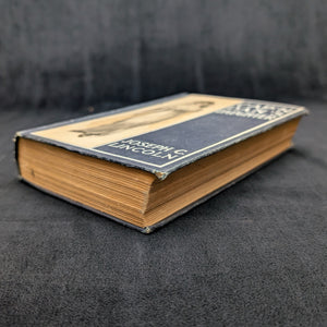 Cap'n Dan's Daughter, by Joseph C. Lincoln, (RARE, Illustrated, A. L. Burt Edition), 1914