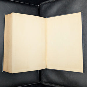 Cap'n Dan's Daughter, by Joseph C. Lincoln, (RARE, Illustrated, A. L. Burt Edition), 1914