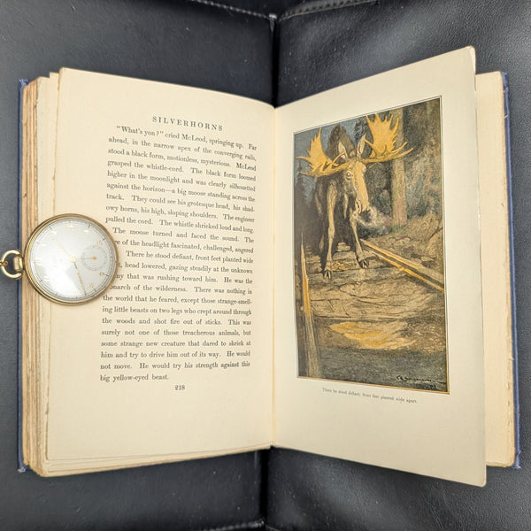 Days Off, And Other Digressions, by Henry Van Dyke, (RARE, First Edition, Illustrated, with Multiple Inscriptions), 1907 📜✍️🏛️