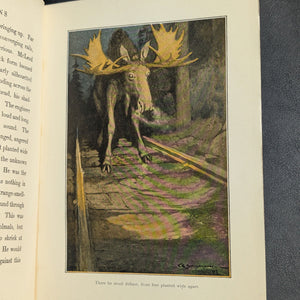 Days Off, And Other Digressions, by Henry Van Dyke, (RARE, First Edition, Illustrated, with Multiple Inscriptions), 1907 📜✍️🏛️