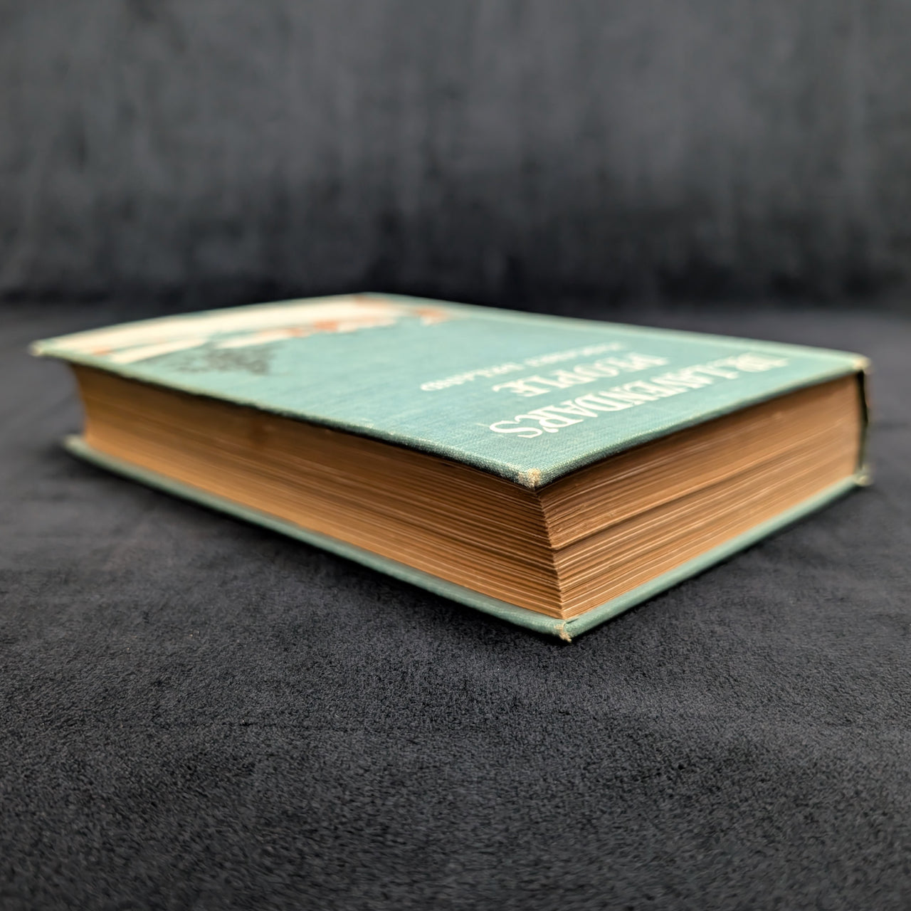 Dr. Lavendar’s People, by Margaret Deland, (RARE, First Edition, Illustrated), 1903 📜📖👩‍⚕️