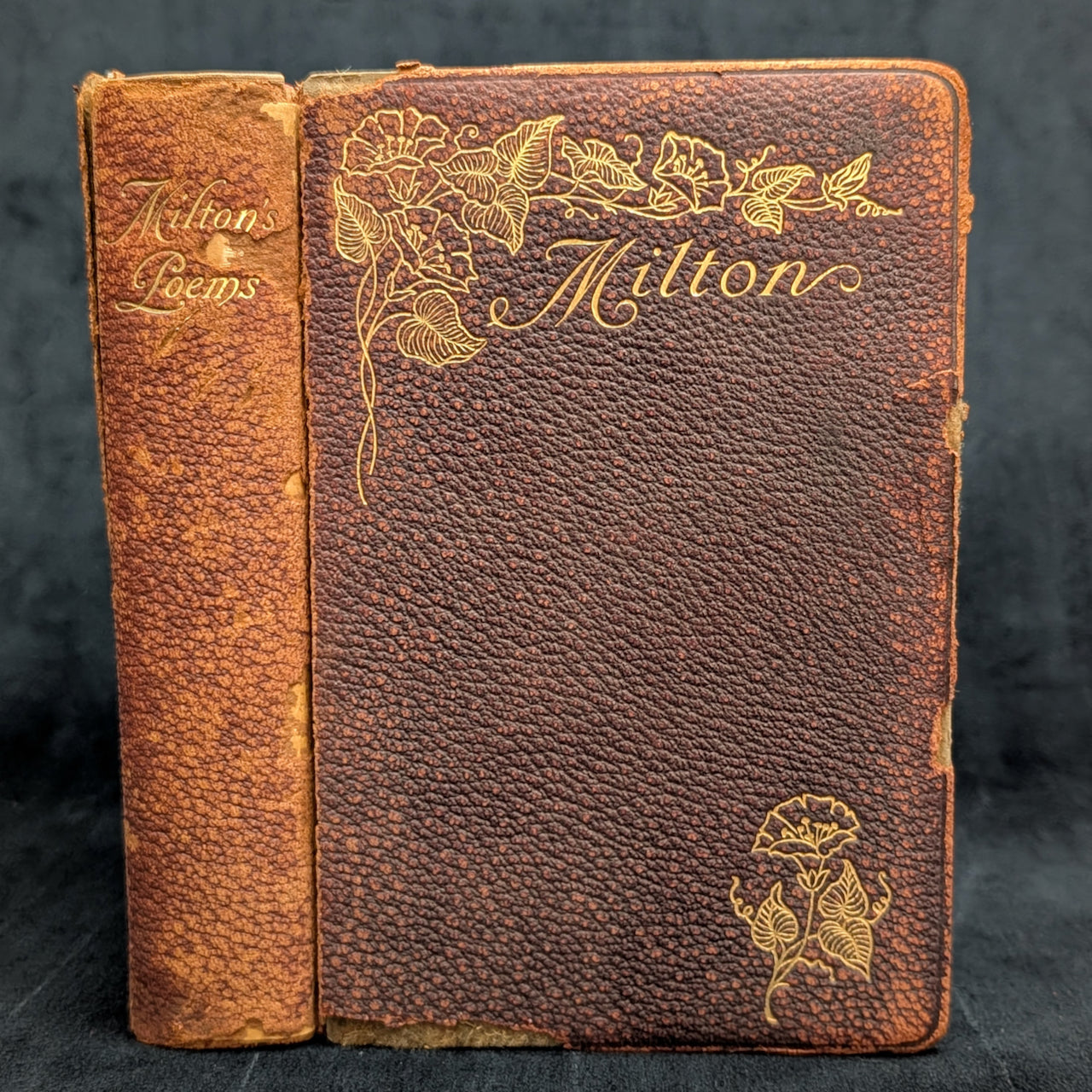 The Poetical Works Of John Milton, New Revised Edition, A. L. Burt Company