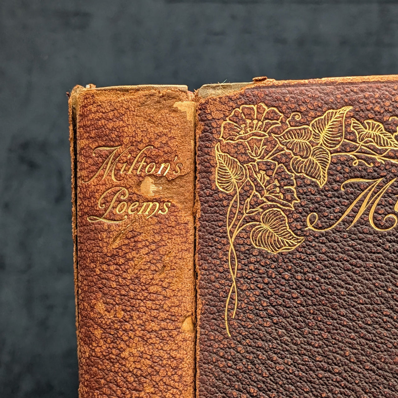 The Poetical Works Of John Milton, New Revised Edition, A. L. Burt Company