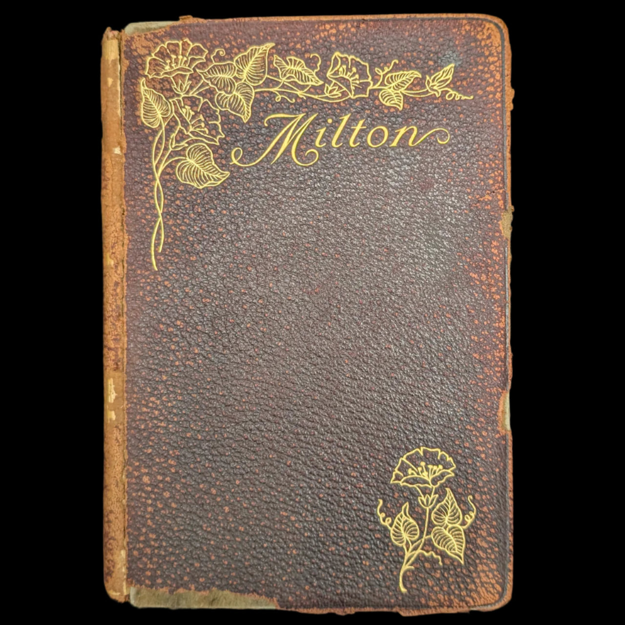 The Poetical Works Of John Milton, New Revised Edition, A. L. Burt Company