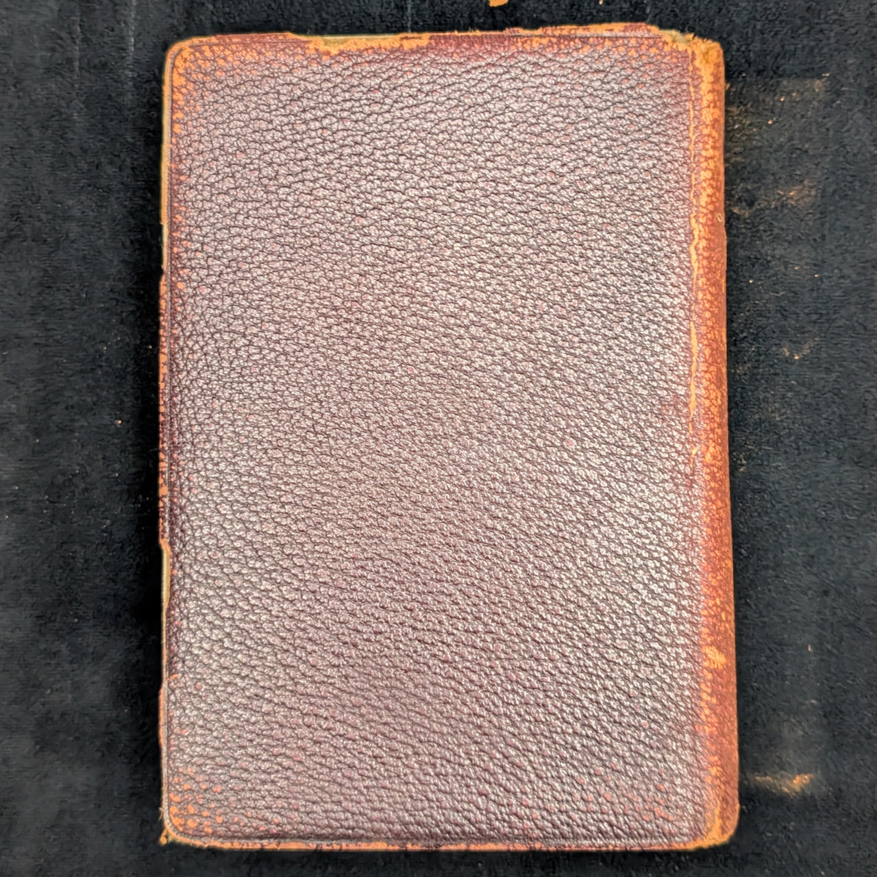 The Poetical Works Of John Milton, New Revised Edition, A. L. Burt Company