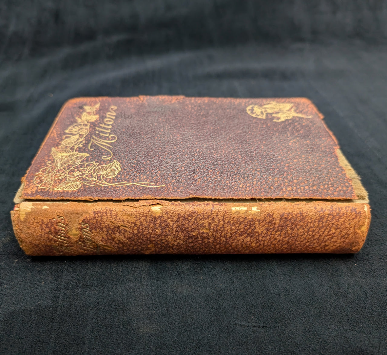 The Poetical Works Of John Milton, New Revised Edition, A. L. Burt Company