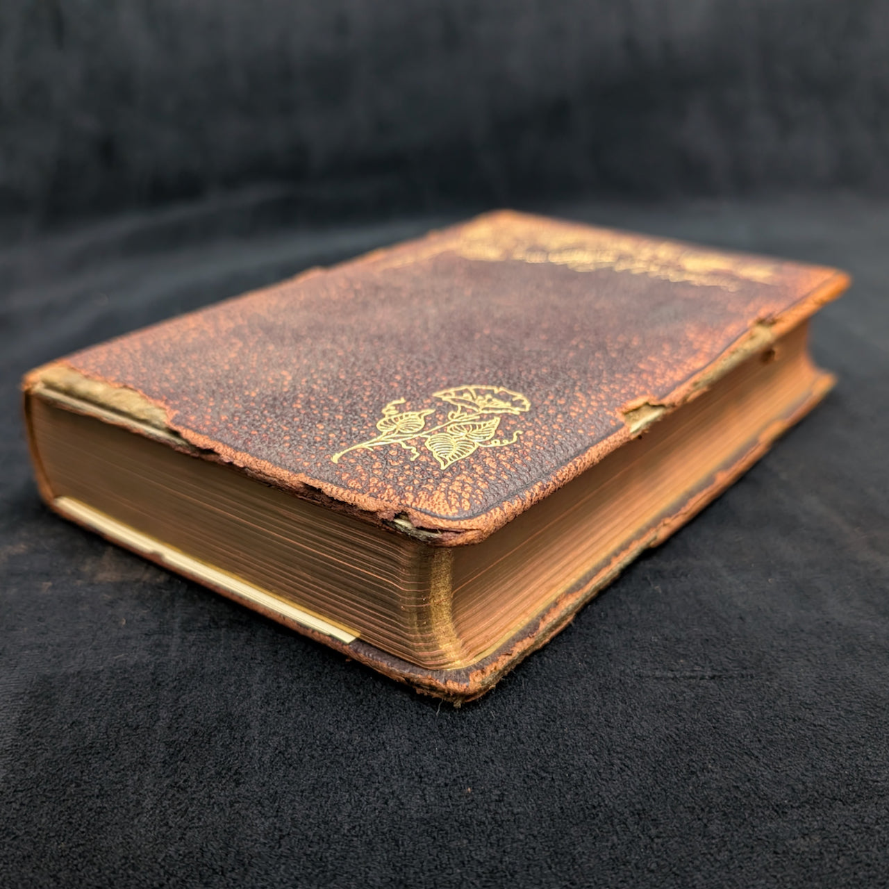 The Poetical Works Of John Milton, New Revised Edition, A. L. Burt Company