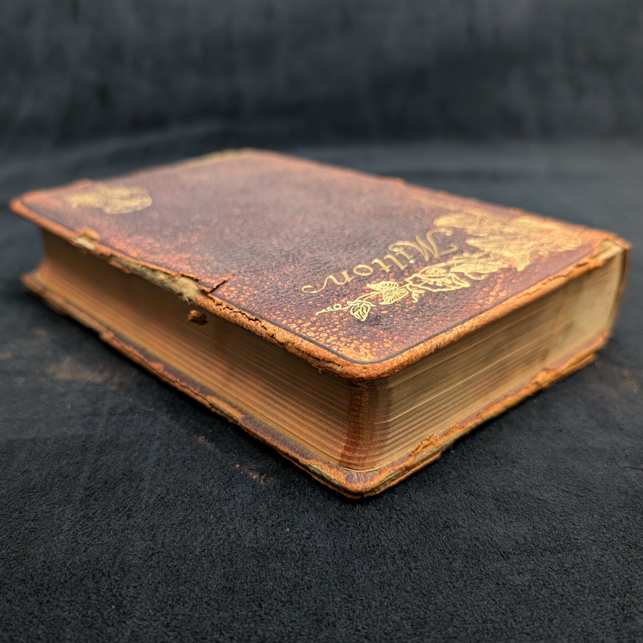 The Poetical Works Of John Milton, New Revised Edition, A. L. Burt Company
